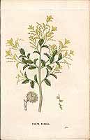  no thumbnail available