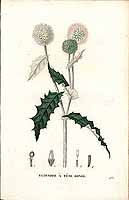  no thumbnail available