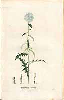  no thumbnail available