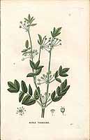  no thumbnail available