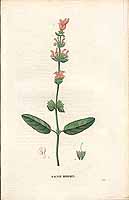  no thumbnail available