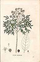  no thumbnail available