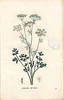  no thumbnail available