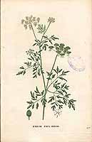  no thumbnail available