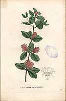  no thumbnail available