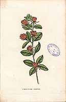  no thumbnail available