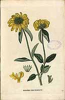  no thumbnail available