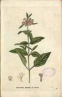  no thumbnail available