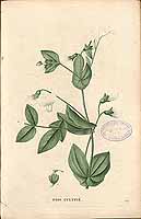  no thumbnail available