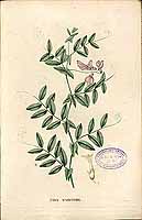  no thumbnail available