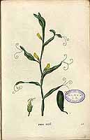  no thumbnail available