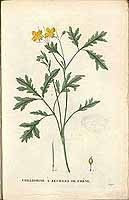  no thumbnail available