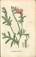  no thumbnail available