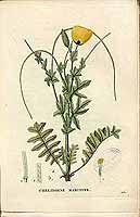  no thumbnail available