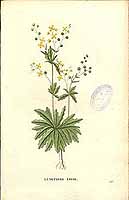  no thumbnail available