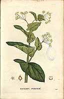  no thumbnail available