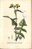  no thumbnail available