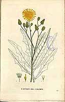  no thumbnail available