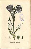  no thumbnail available