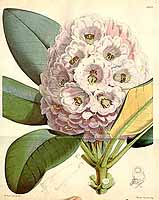  no thumbnail available