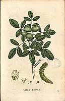  no thumbnail available