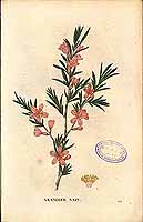  no thumbnail available