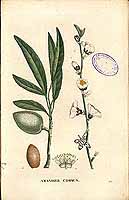  no thumbnail available