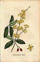  no thumbnail available