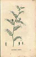  no thumbnail available