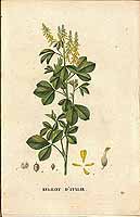  no thumbnail available