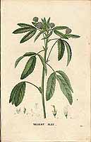  no thumbnail available