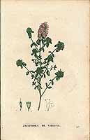  no thumbnail available