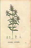  no thumbnail available