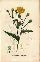  no thumbnail available