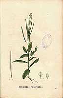  no thumbnail available