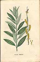  no thumbnail available