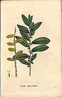  no thumbnail available