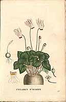  no thumbnail available