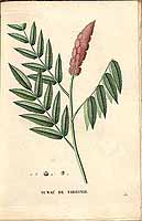  no thumbnail available