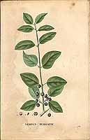  no thumbnail available