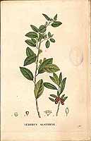  no thumbnail available