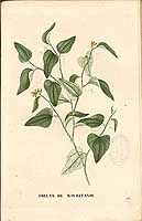  no thumbnail available