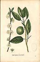  no thumbnail available