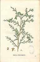  no thumbnail available