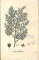  no thumbnail available