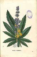  no thumbnail available