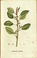  no thumbnail available