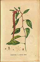  no thumbnail available