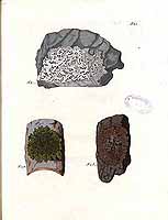  no thumbnail available