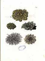  no thumbnail available